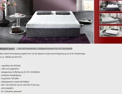 Boston Schlafsofa Leder