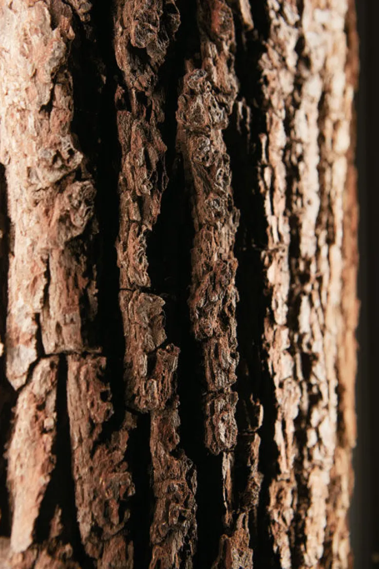 Hartmann Runa Garderobe Massivholz eiche