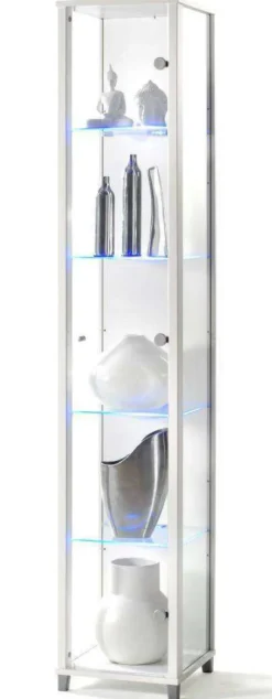 kleine Glasvitrine mit Beleuchtung