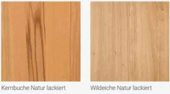 Memphis Stühle mit Holzbeinen