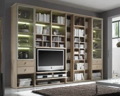 Studio Bücherregal mit TV-Element