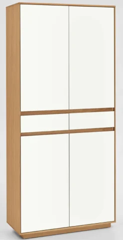 V100 Mehrzweckschrank